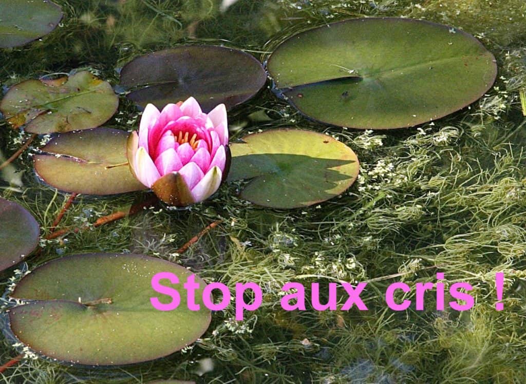 Adolescence positive - adolescence positive stop aux cris