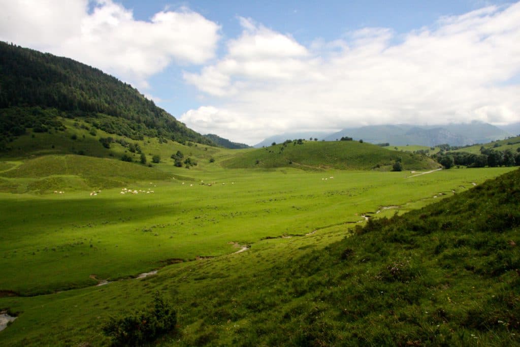 Comprendre et communiquer avec son ado 6 Adolescence positive - adolescence positive titre souhaite bel ete